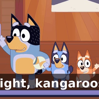 Night, kangaroos,