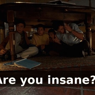Are you insane?!