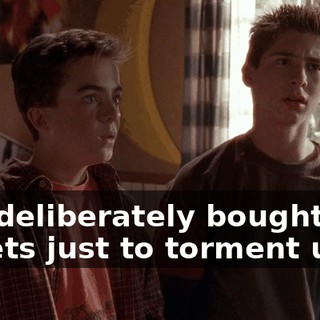 You deliberately bought two tickets just to torment us?
