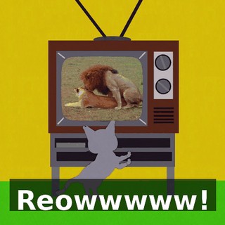 Reowwwww!