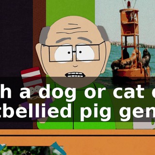 6903e061-d74a-4ccc-881e-511c401f696e.gif