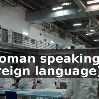 (woman speaking in foreign language)