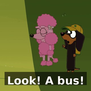 Look! A bus!