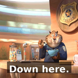 697f85df-c86a-41b9-bafe-7ee6df1299dc.gif