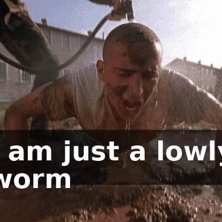 I am just a lowly worm