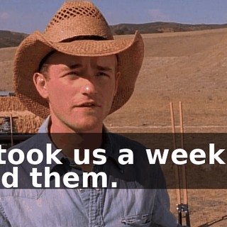 It took us a week to find them.