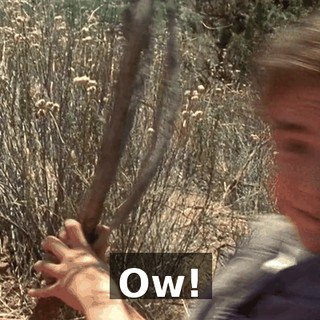 Ow!
