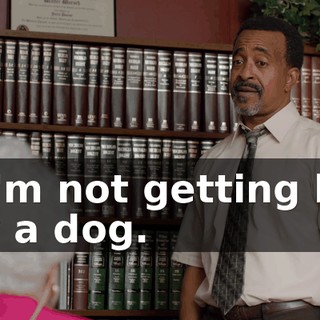 - I'm not getting bit by a dog.