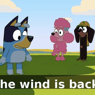The wind is back.