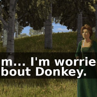 I'm... I'm worried about Donkey.
