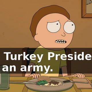 The Turkey President's got an army.