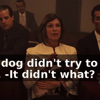 -My dog didn't try to bite you. -It didn't what?