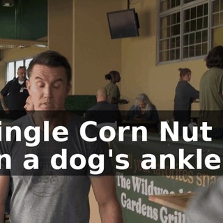 6a5d50af-274e-40c2-9d52-561bb3f8784e.gif