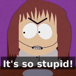 It's so stupid!