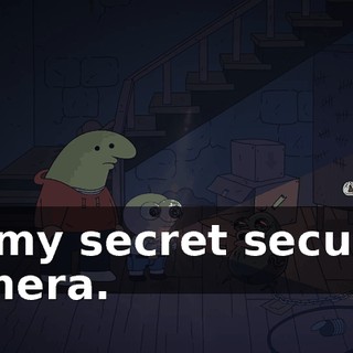 on my secret security camera.
