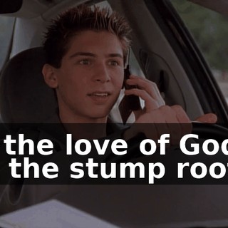 For the love of God! Not the stump rooter!