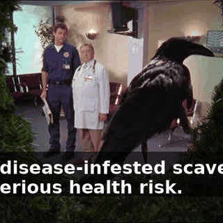 6ab08531-9ccf-4cf7-8b30-037a8d00c748.gif