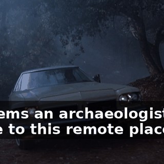 It seems an archaeologist had come to this remote place...
