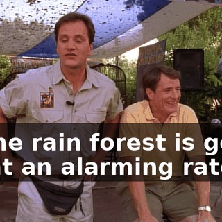 of the rain forest is going on at an alarming rate.