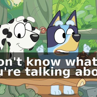 I don't know what you're talking about.