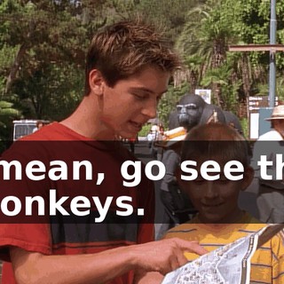 I mean, go see the monkeys.