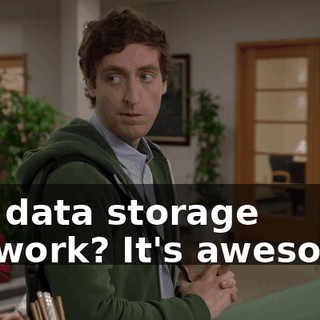 our data storage network? It's awesome.