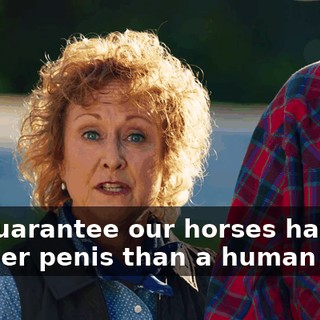 we guarantee our horses have a smaller penis than a human man.