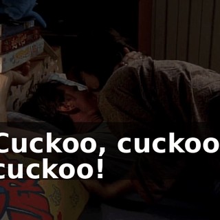 Cuckoo, cuckoo, cuckoo!