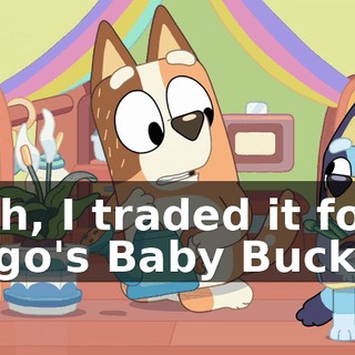 Yeah, I traded it for Bingo's Baby Buckles.