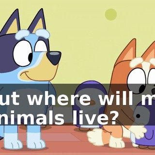 But where will my animals live?