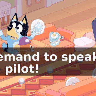 I demand to speak to the pilot!