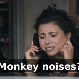 6b55c799-b3c8-4e01-83f4-8f893fc9f7dd.gif