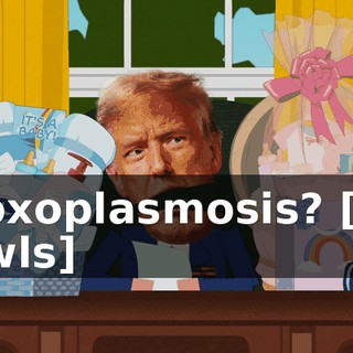 6b6d4331-7d73-4b6a-b313-93936dfcfb4d.gif