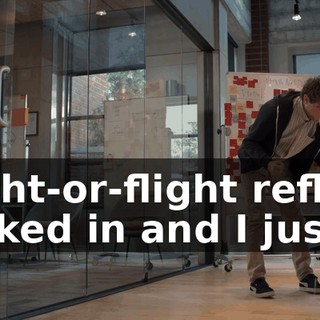 Fight-or-flight reflex kicked in and I just...