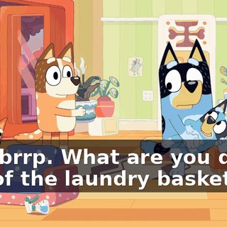 Brrt brrp. What are you doing out of the laundry basket?