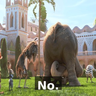 6ba0d31c-e60c-41b2-9b71-caff660f8843.gif