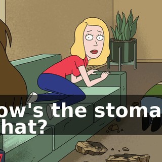 6ba41039-8b8a-447f-991e-0820ec799ba9.gif