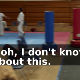 6bd337c7-61d1-4ba6-b4ef-b3d8592ee875.gif