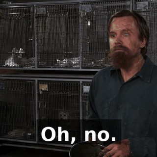 Oh, no.