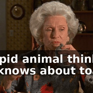 Stupid animal thinks he knows about toast.