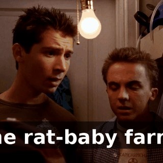 the rat-baby farm,