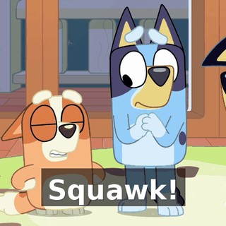 Squawk!