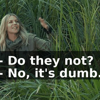 6c6fa2c8-3c79-4396-afe0-f11a386756d0.gif
