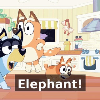 Elephant!