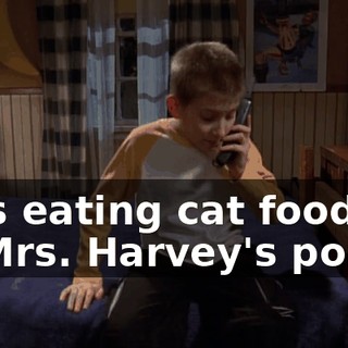 he's eating cat food off of Mrs. Harvey's porch.