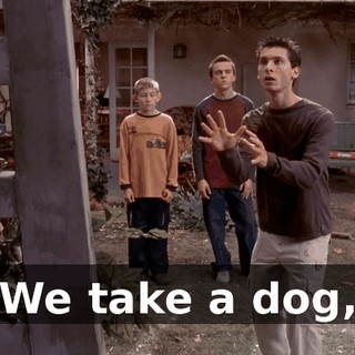 We take a dog,
