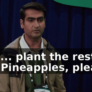 Just... plant the rest of the Pineapples, please.