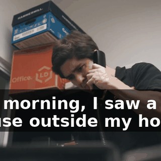 6d2950f3-1730-433e-b11d-ad6f8051616b.gif