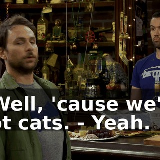 - Well, 'cause we're not cats. - Yeah.