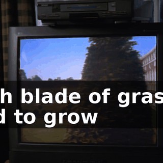 each blade of grass is said to grow